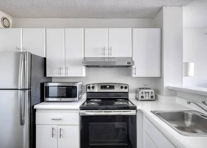 Streeterville W Gym Pool Nr Navy Pier Chi-450 Apartment